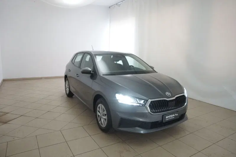 Skoda Fabia usata a Torino (20)