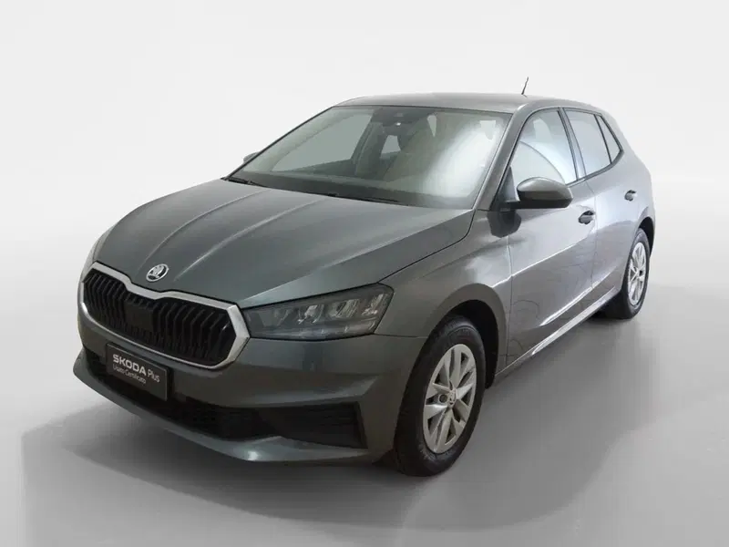 Skoda Fabia usata a Torino (3)