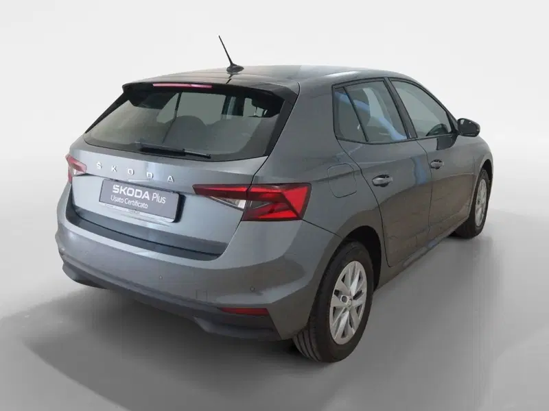 Skoda Fabia usata a Torino (6)