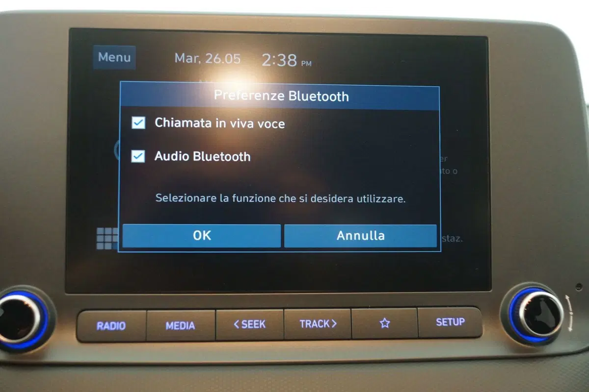Hyundai Kona usata a Torino (18)