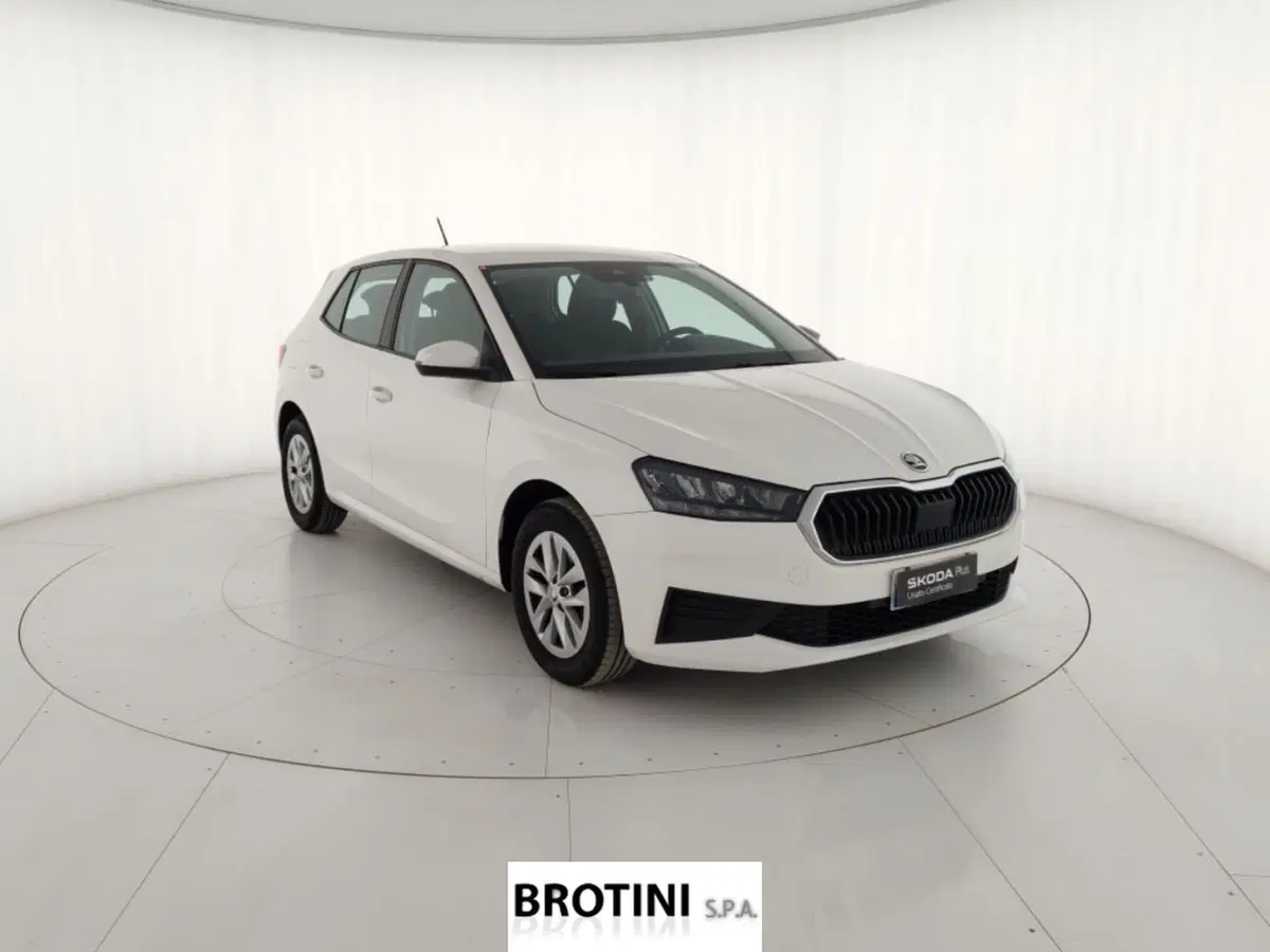 Skoda Fabia usata a Massa-Carrara (4)