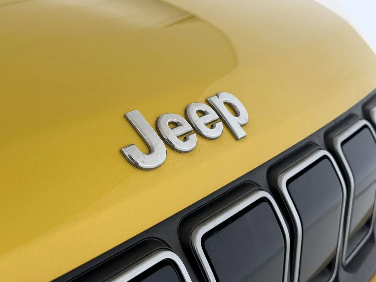Jeep Avenger usata a Perugia (14)