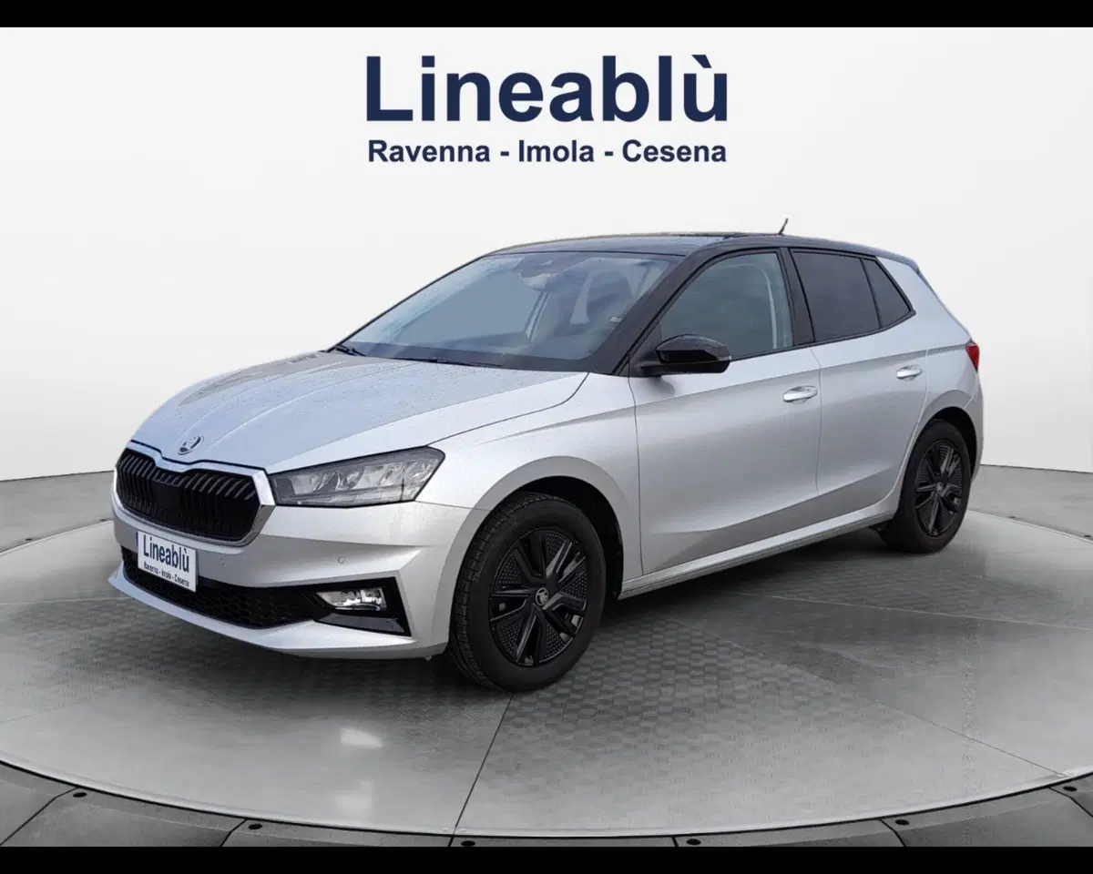 Skoda Fabia usata a Forlì-Cesena