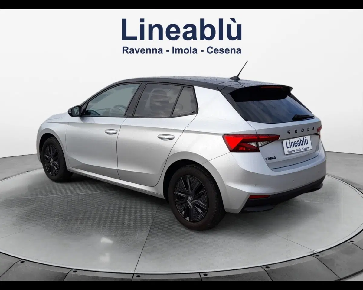 Skoda Fabia usata a Forlì-Cesena (3)