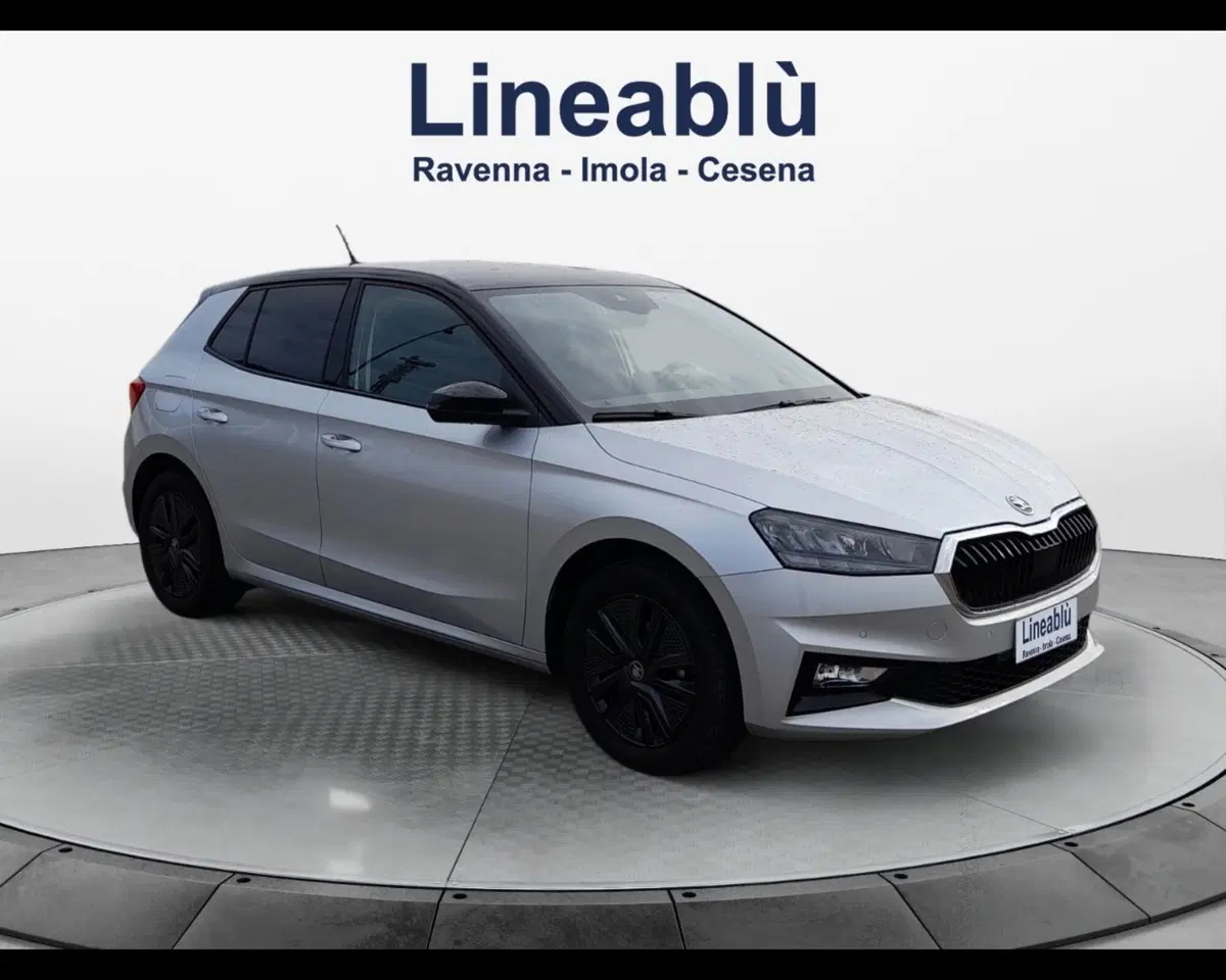 Skoda Fabia usata a Forlì-Cesena (7)