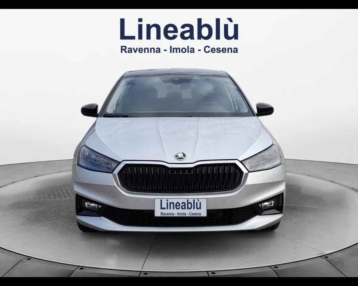 Skoda Fabia usata a Forlì-Cesena (8)