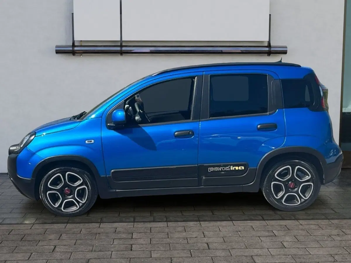 Fiat Pandina usata a Roma (2)