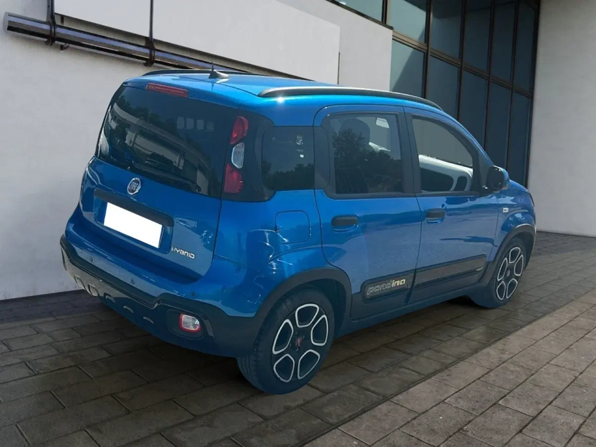 Fiat Pandina usata a Roma (3)