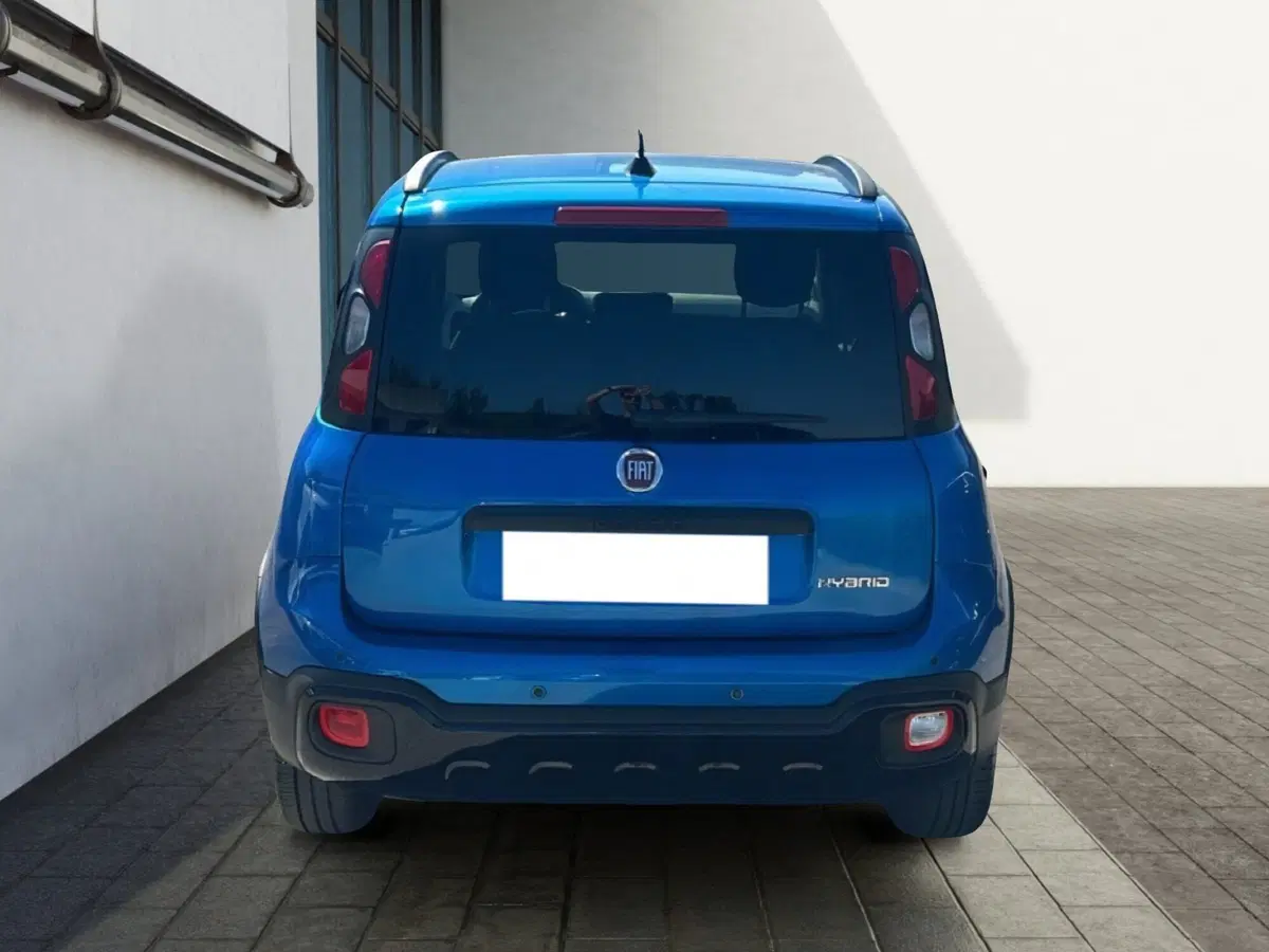 Fiat Pandina usata a Roma (4)