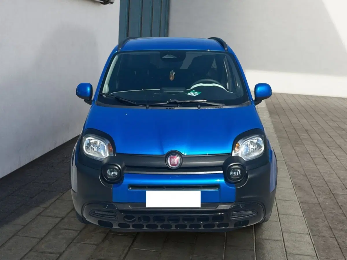 Fiat Pandina usata a Roma (5)