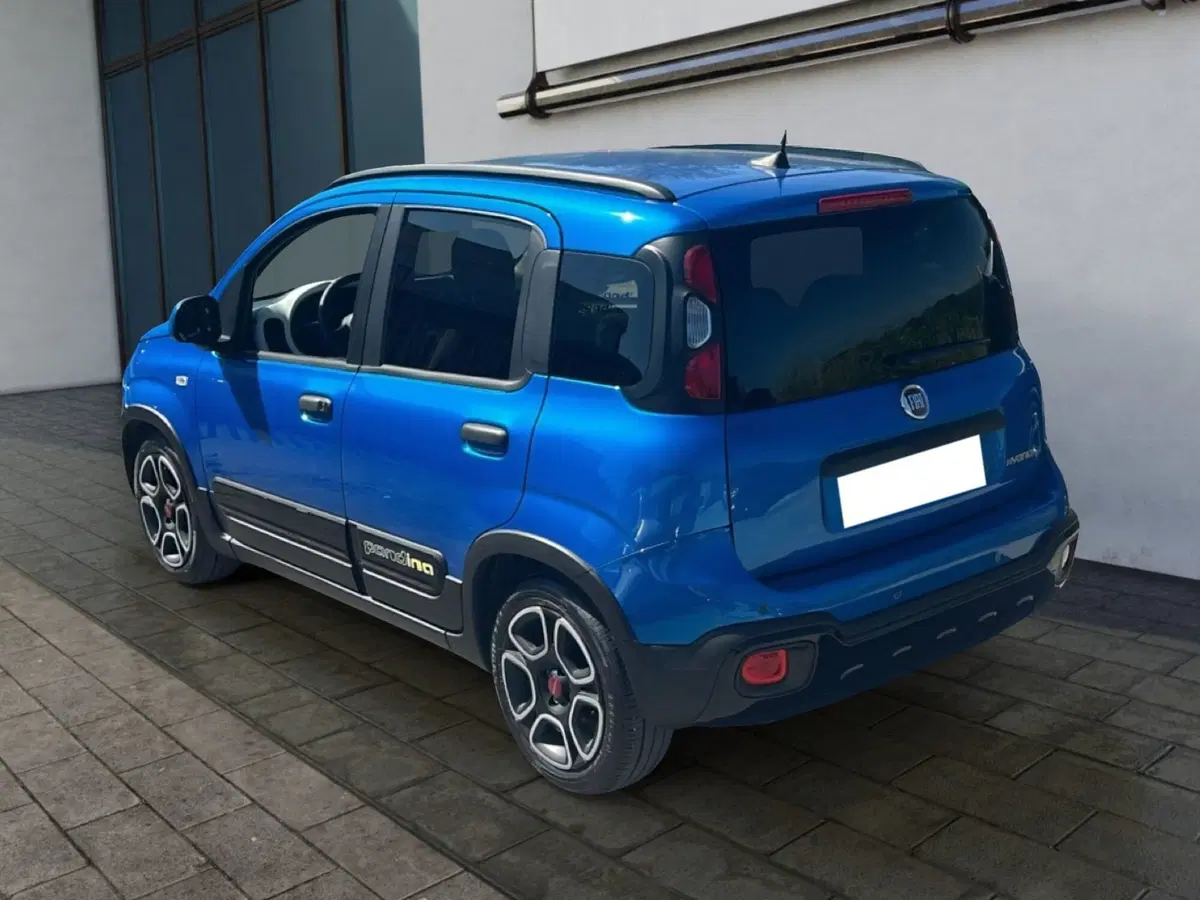 Fiat Pandina usata a Roma (6)