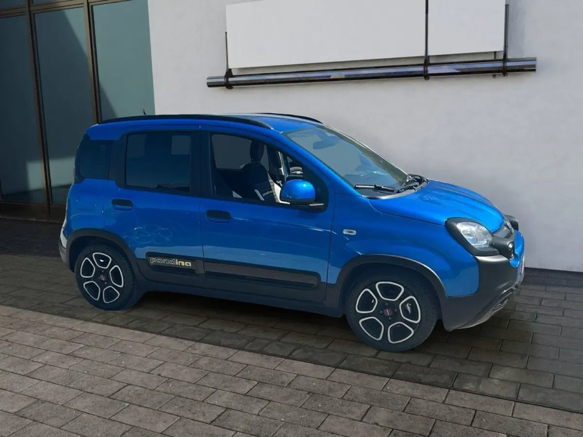 Fiat Pandina usata a Roma (7)