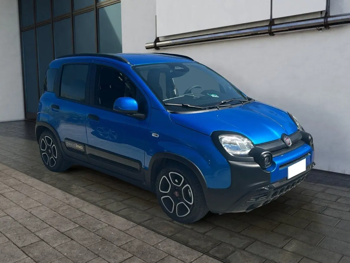 Fiat Pandina usata a Roma (8)