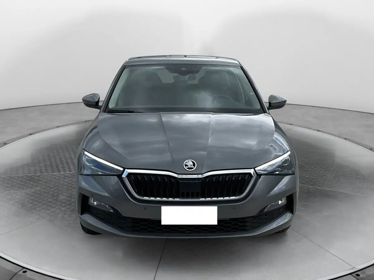 Skoda Scala usata a Reggio Calabria (8)