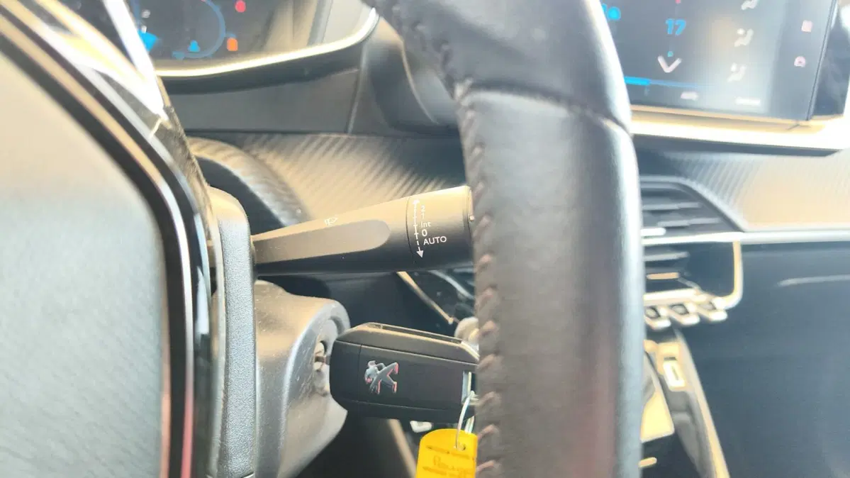 Peugeot 208 usata a Firenze (18)