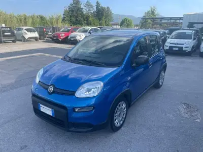 Fiat Panda 1.0 FireFly S&amp;S Hybrid City Cross del 2024 usata a Lucca