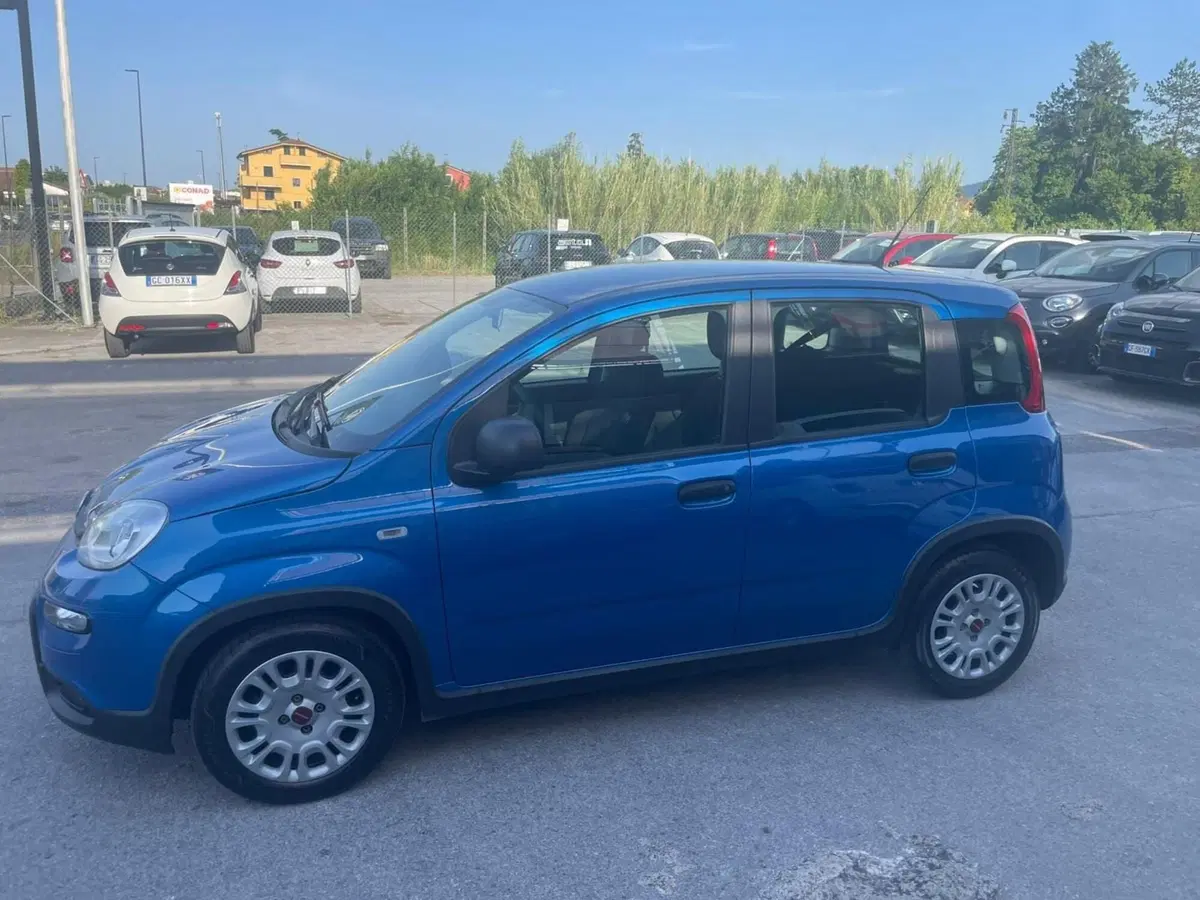 Fiat Panda usata a Lucca (2)