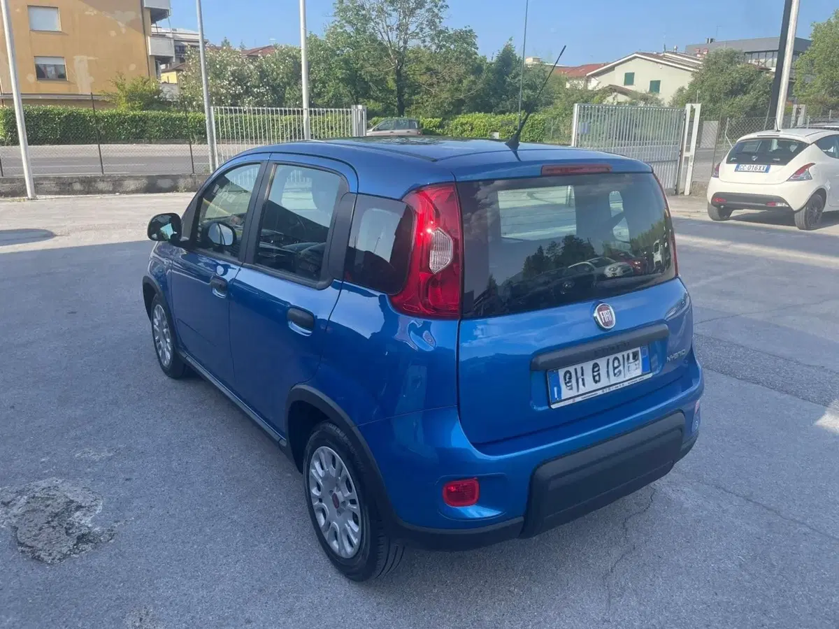 Fiat Panda usata a Lucca (3)