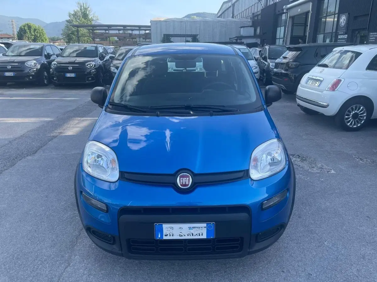 Fiat Panda usata a Lucca (7)
