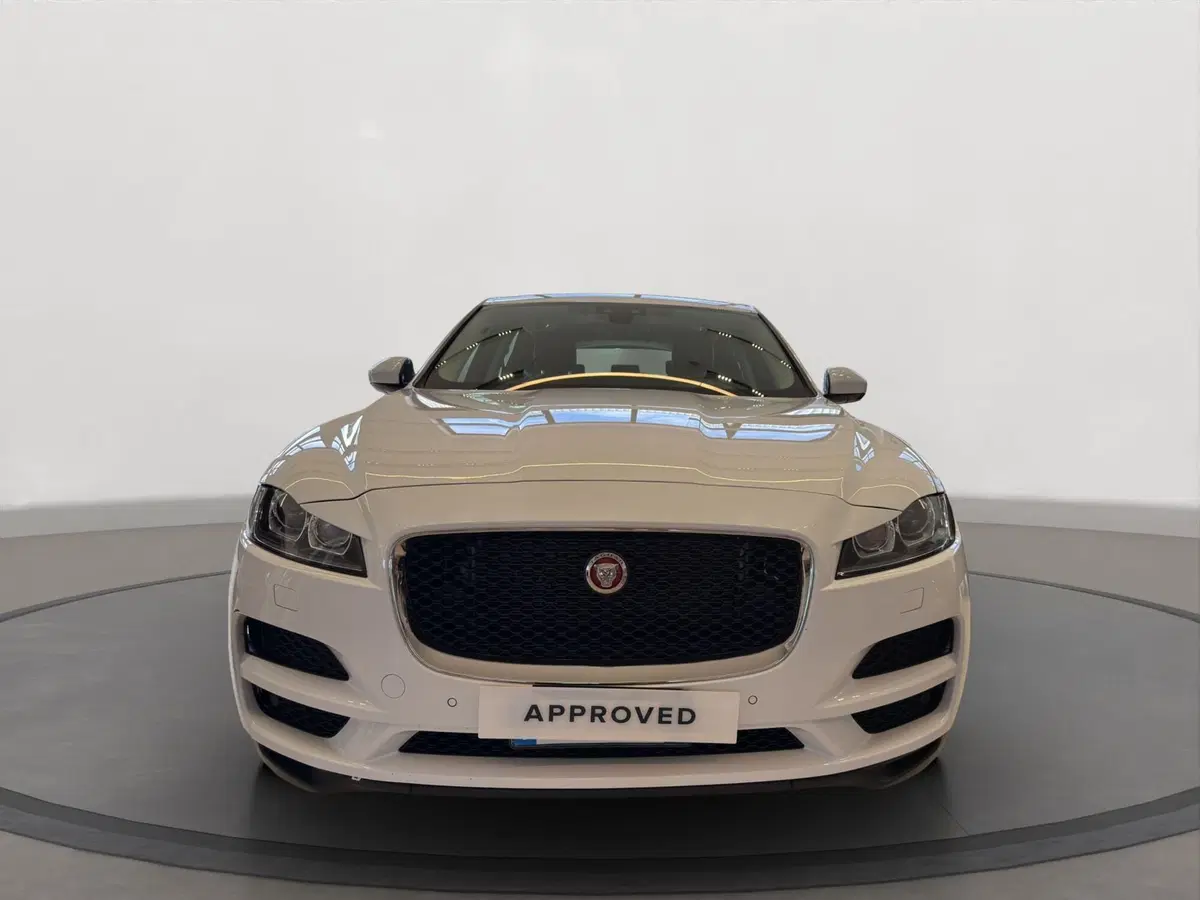 Jaguar F-Pace usata a Latina (8)