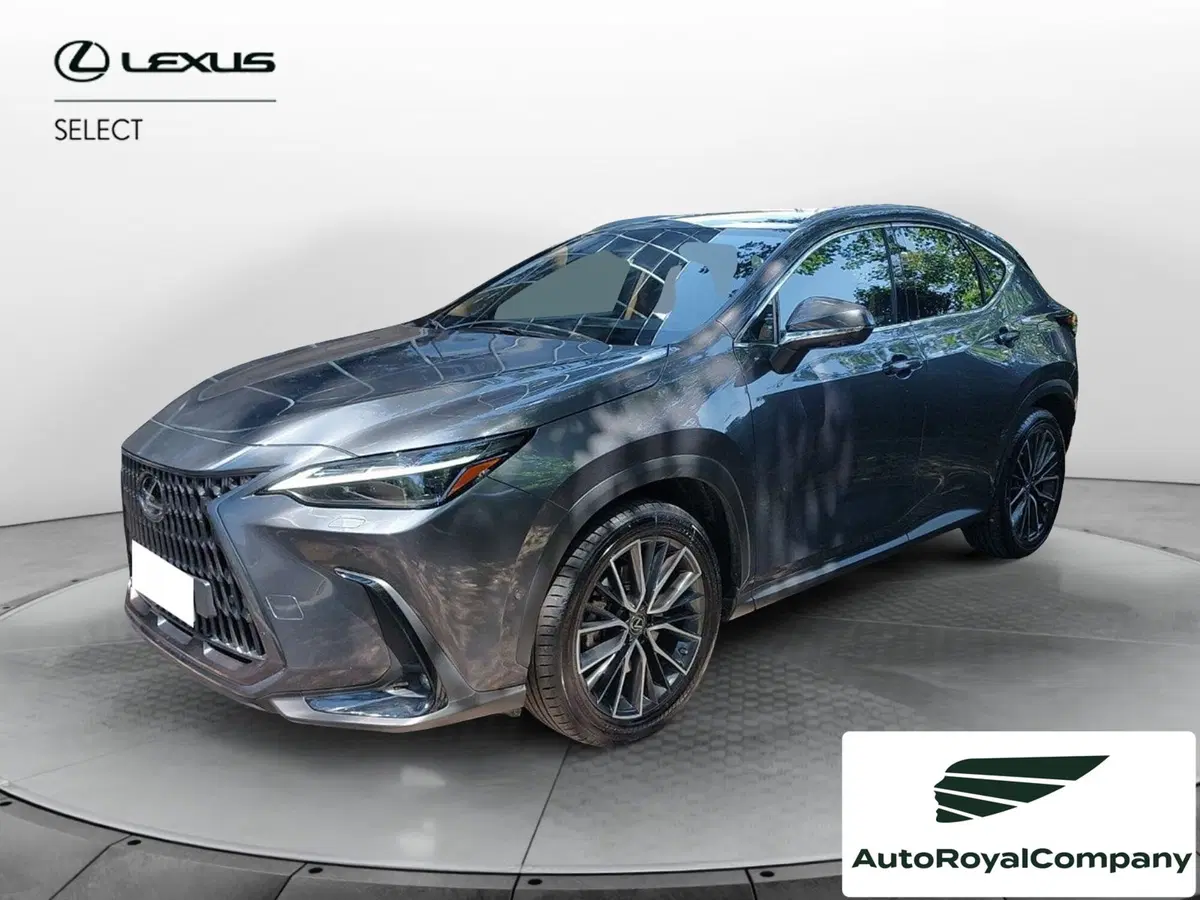 Lexus NX usata a Roma
