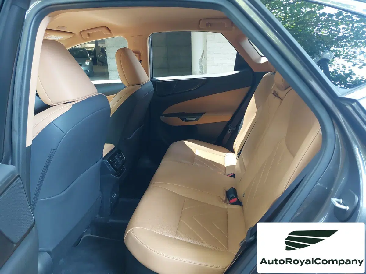 Lexus NX usata a Roma (11)