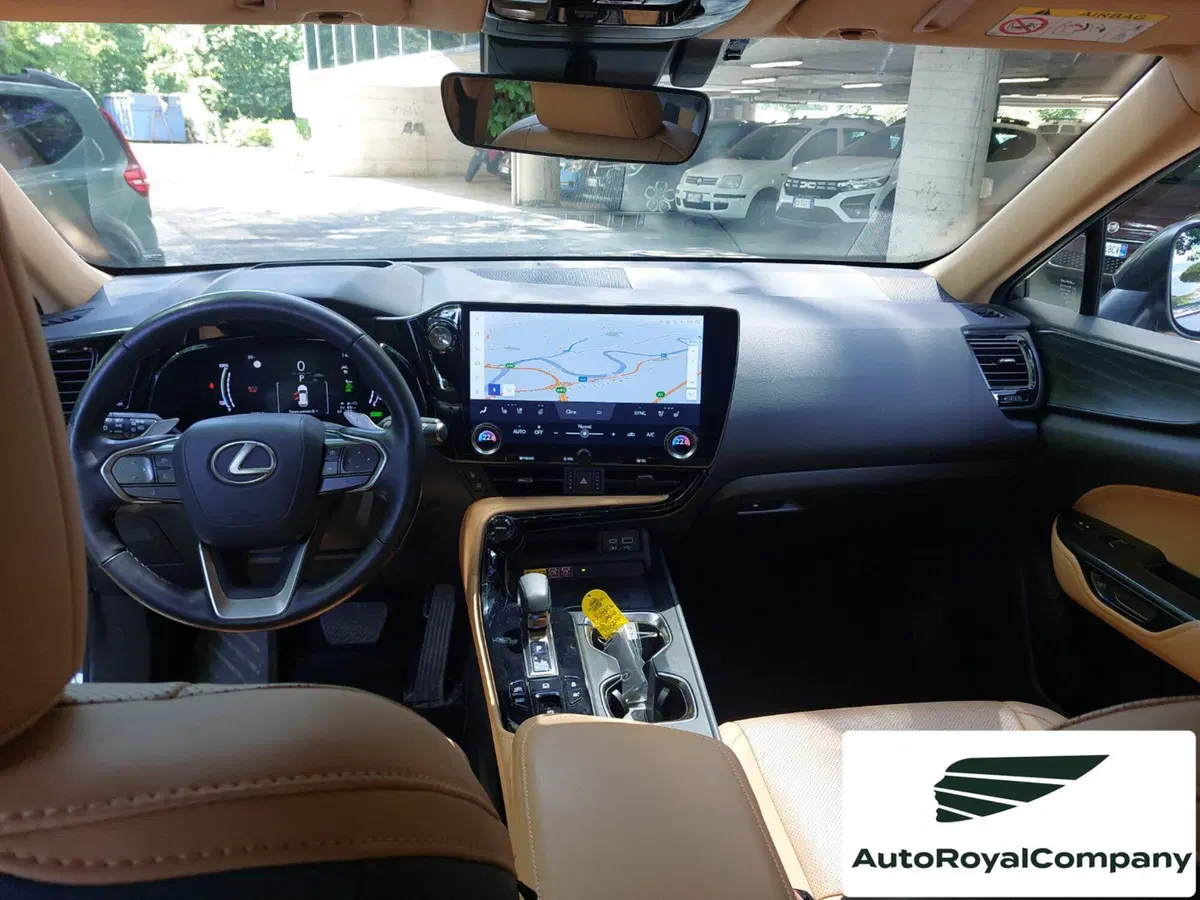 Lexus NX usata a Roma (12)