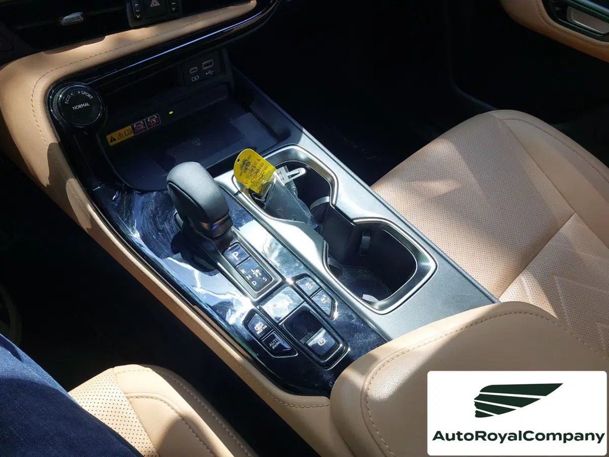 Lexus NX usata a Roma (16)