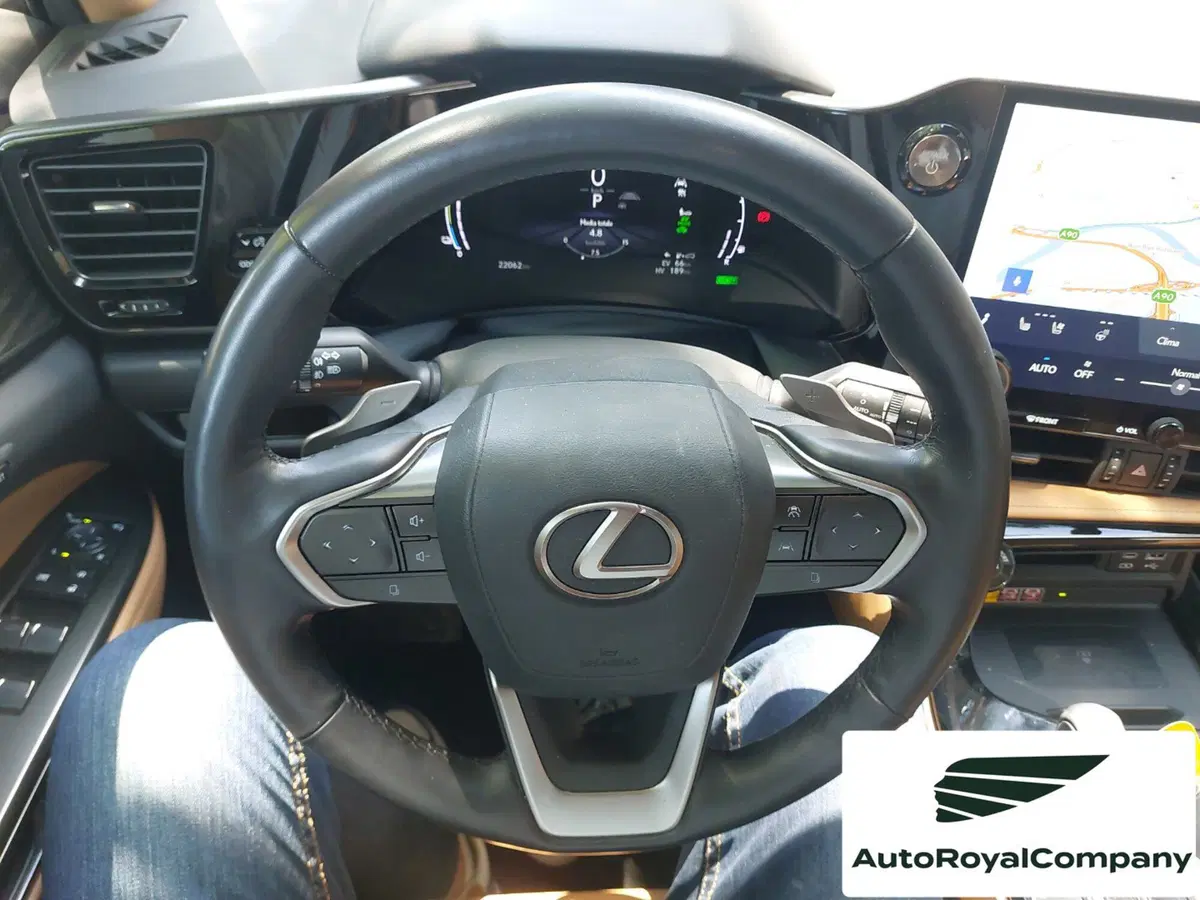 Lexus NX usata a Roma (17)