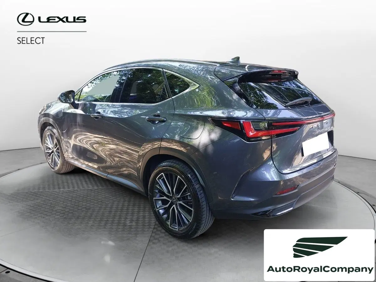 Lexus NX usata a Roma (3)