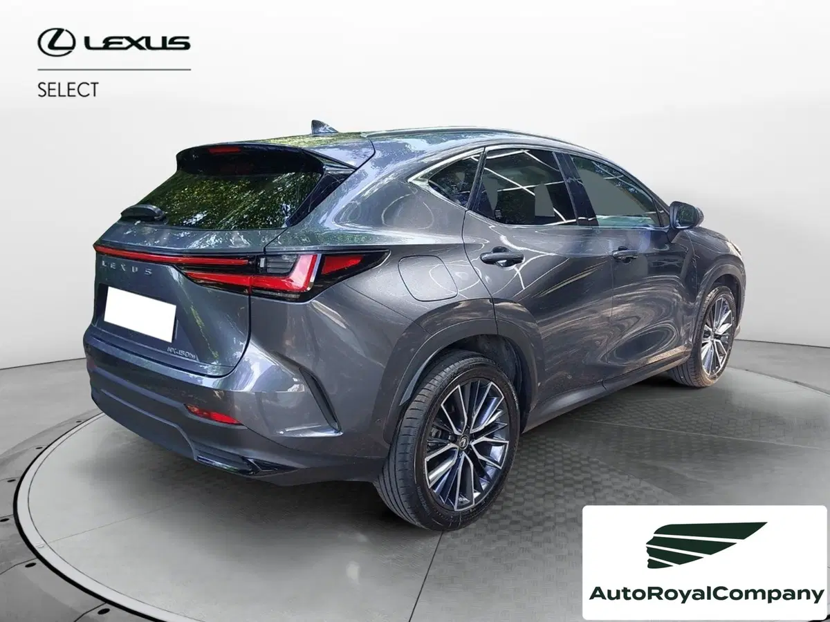 Lexus NX usata a Roma (5)
