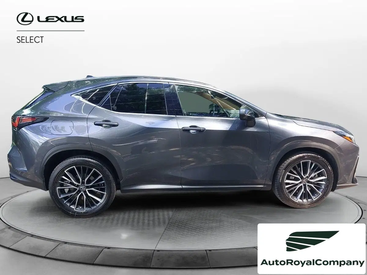 Lexus NX usata a Roma (6)