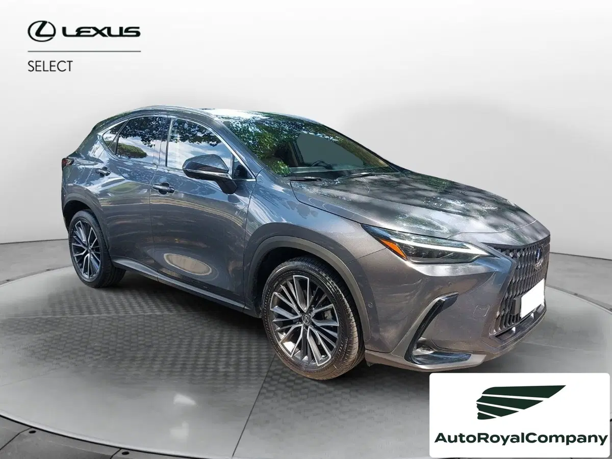 Lexus NX usata a Roma (7)