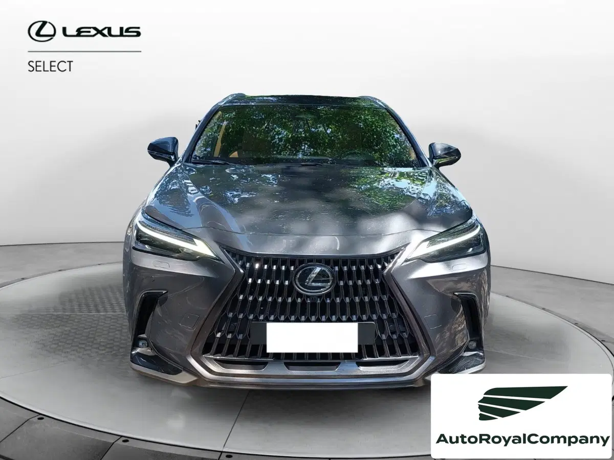 Lexus NX usata a Roma (8)