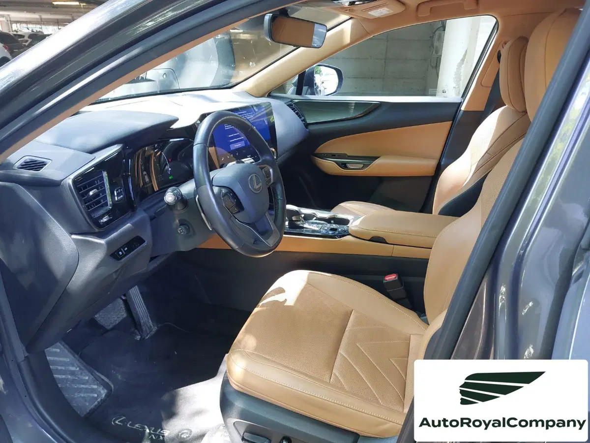 Lexus NX usata a Roma (9)