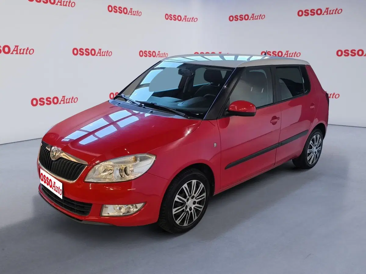 Skoda Fabia usata a Udine