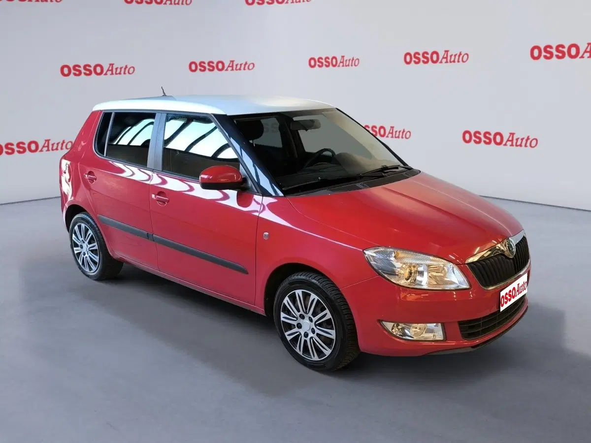 Skoda Fabia usata a Udine (2)