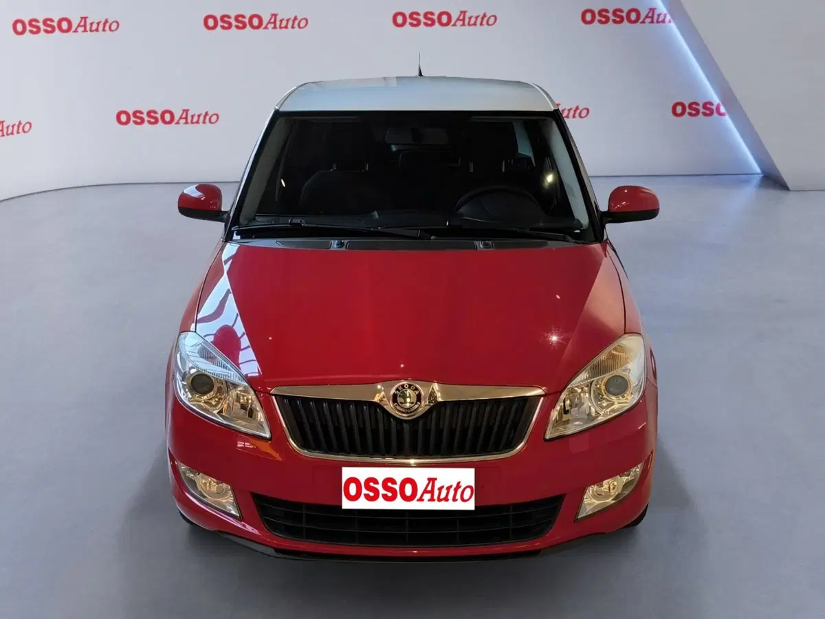 Skoda Fabia usata a Udine (5)