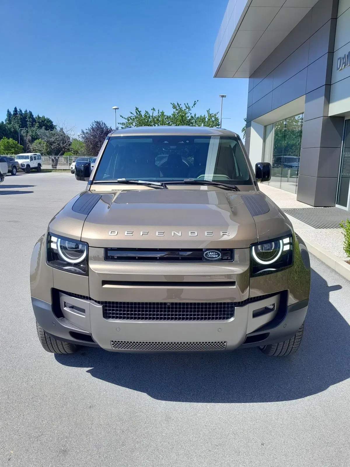 Land Rover Defender usata a Cuneo (2)
