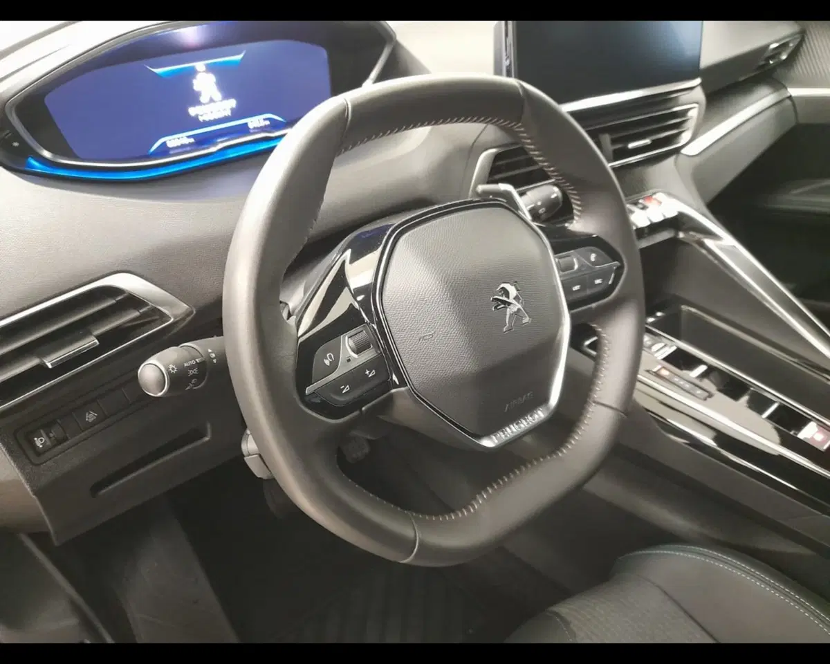 Peugeot 3008 usata a Alessandria (9)