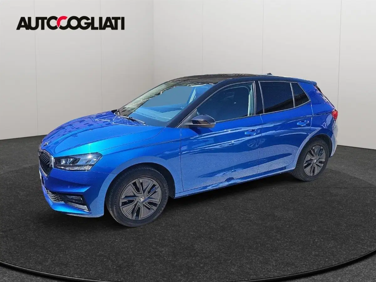 Skoda Fabia usata a Lecco (4)