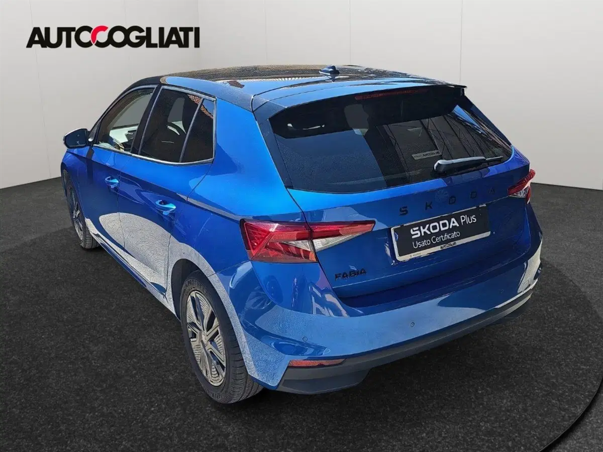 Skoda Fabia usata a Lecco (5)