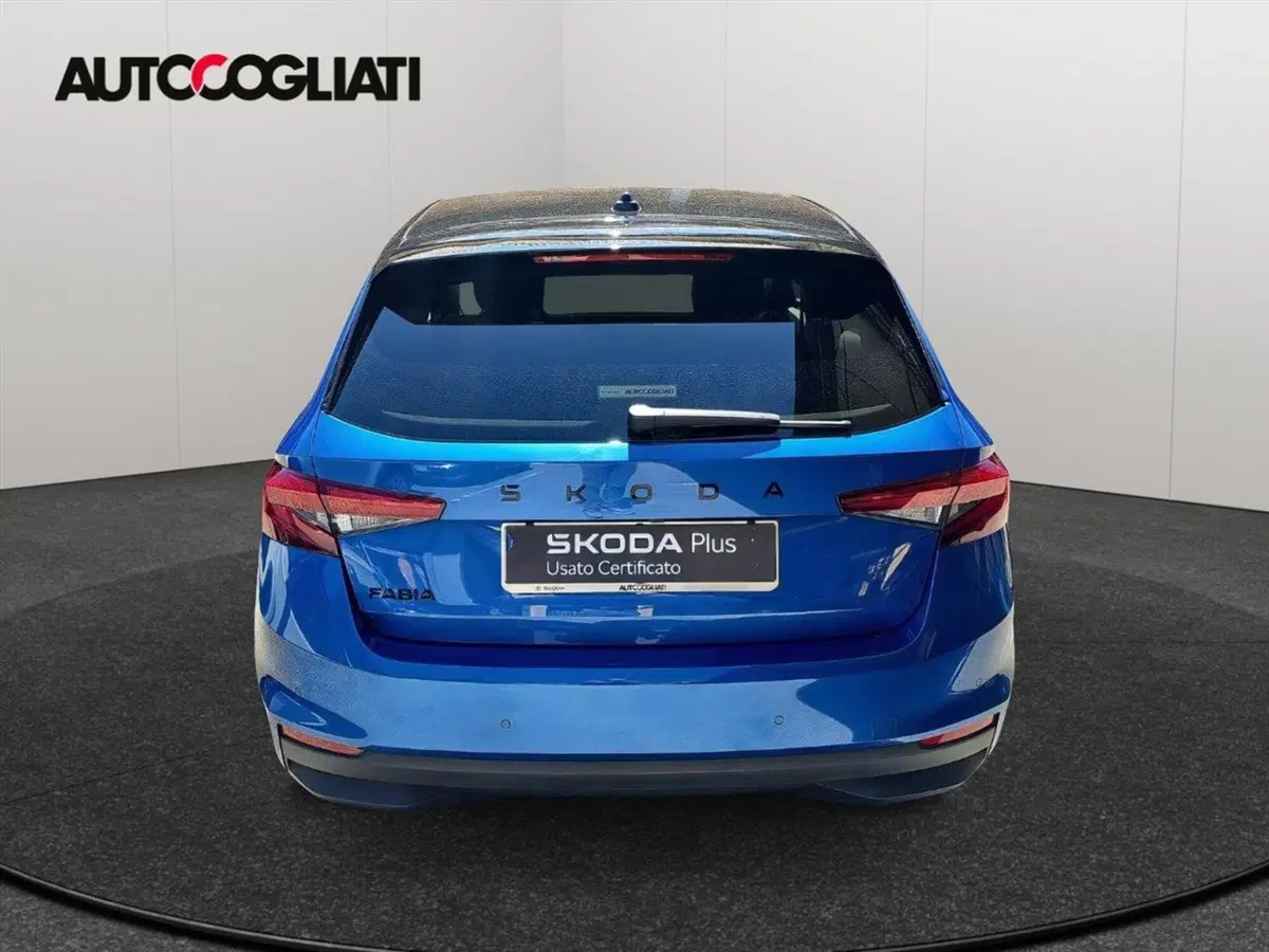 Skoda Fabia usata a Lecco (6)