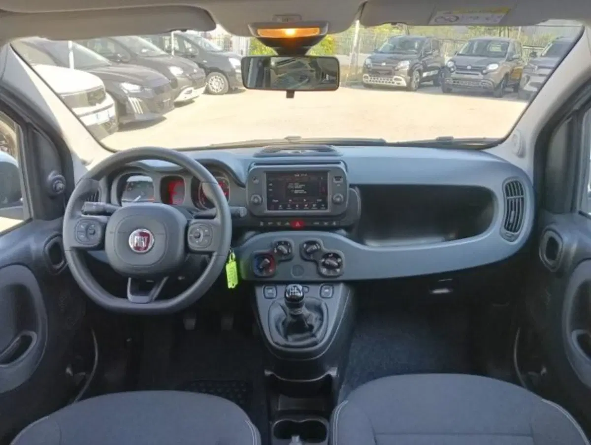 Fiat Panda Cross usata a Brescia (10)