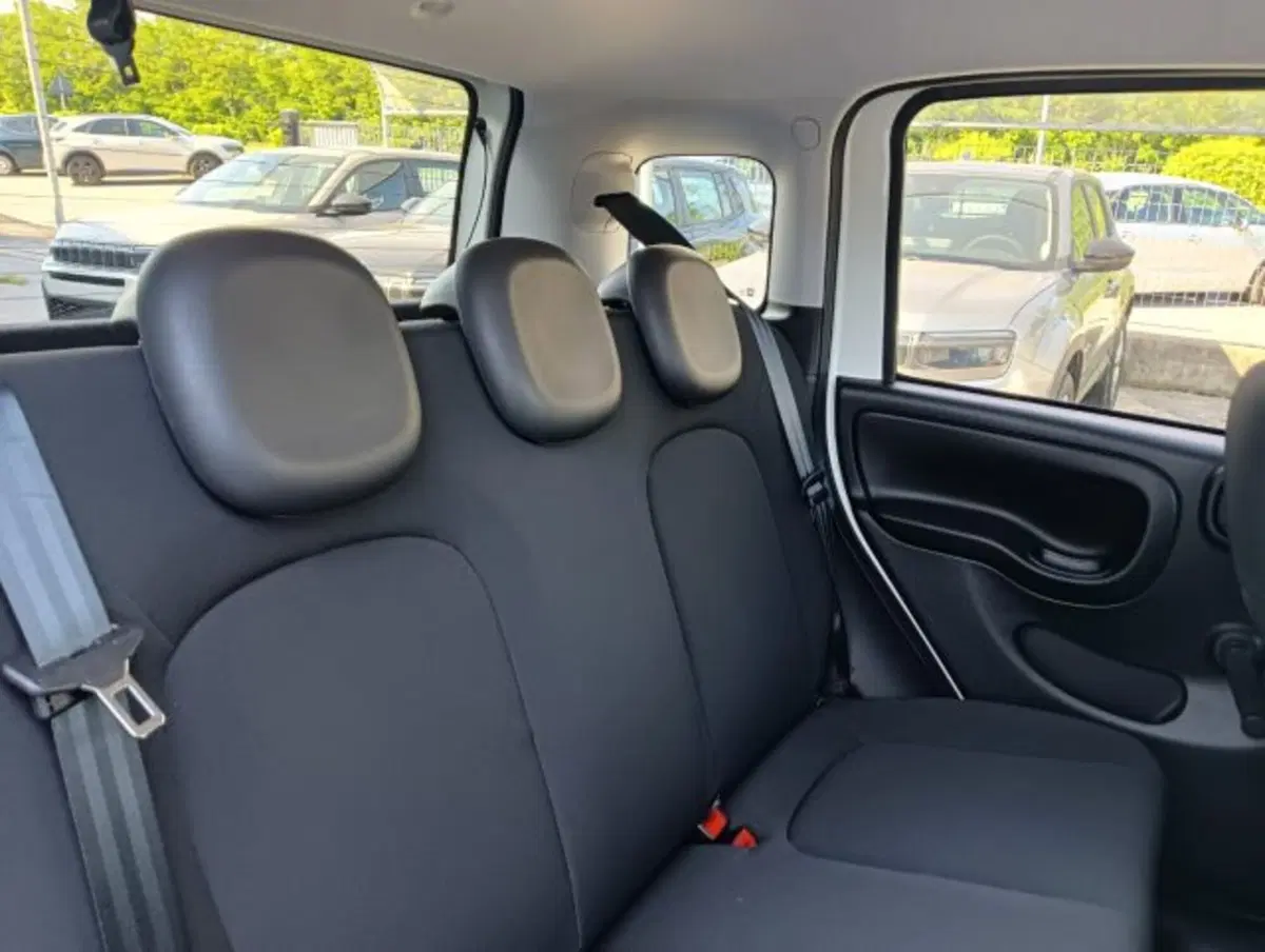 Fiat Panda Cross usata a Brescia (17)
