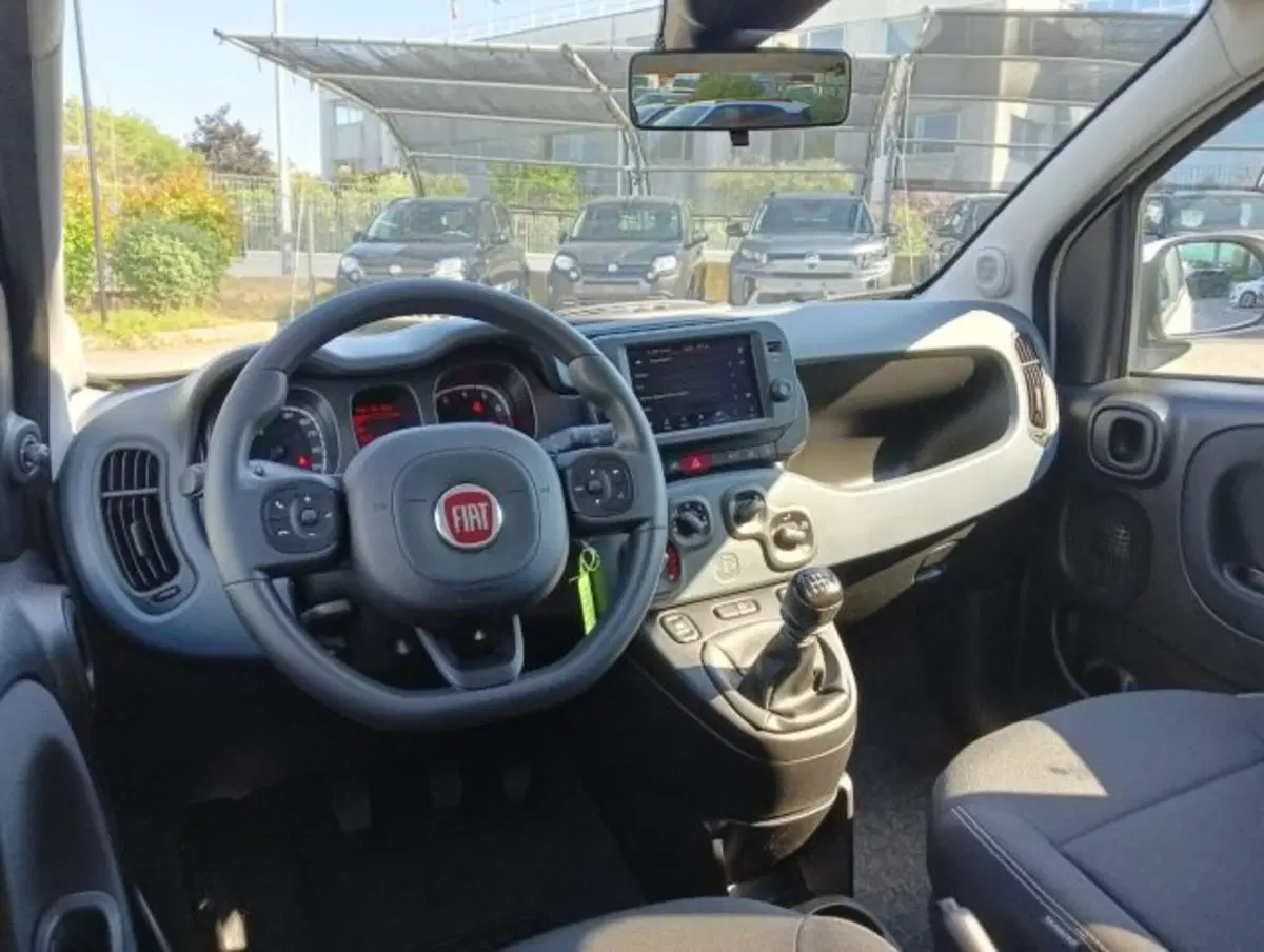 Fiat Panda Cross usata a Brescia (5)