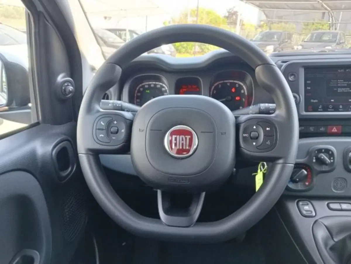 Fiat Panda Cross usata a Brescia (6)