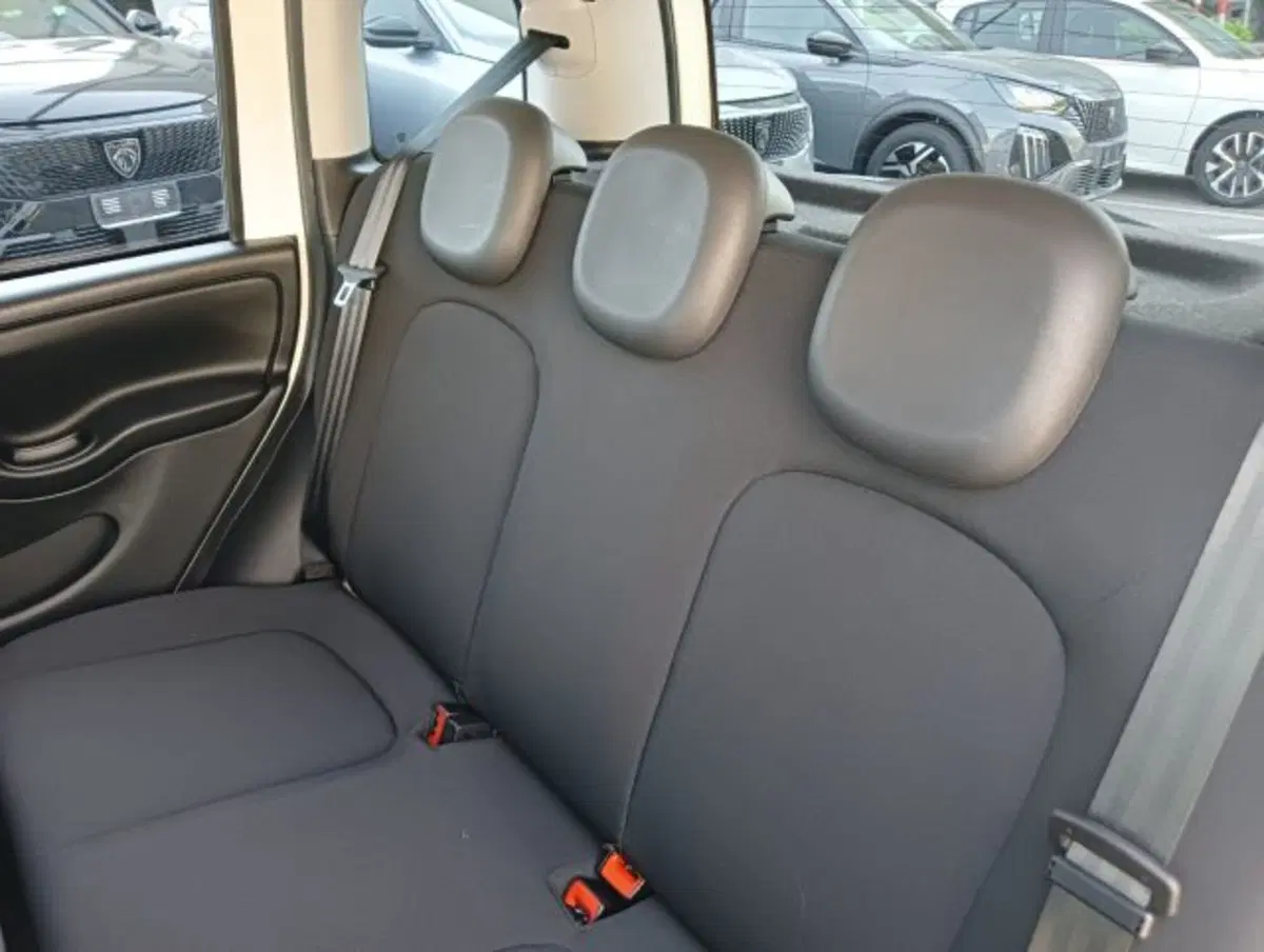 Fiat Panda Cross usata a Brescia (9)