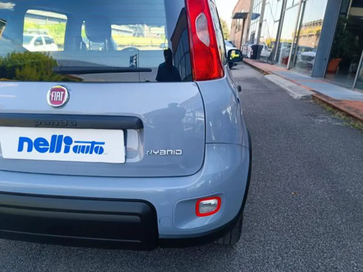 Fiat Panda usata a Pisa (14)
