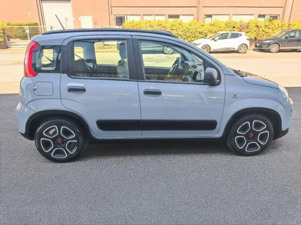 Fiat Panda usata a Pisa (16)